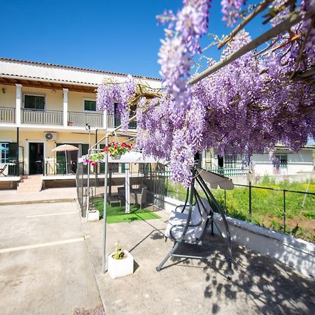 Ionian Luxury Apartments Perama  Eksteriør bilde