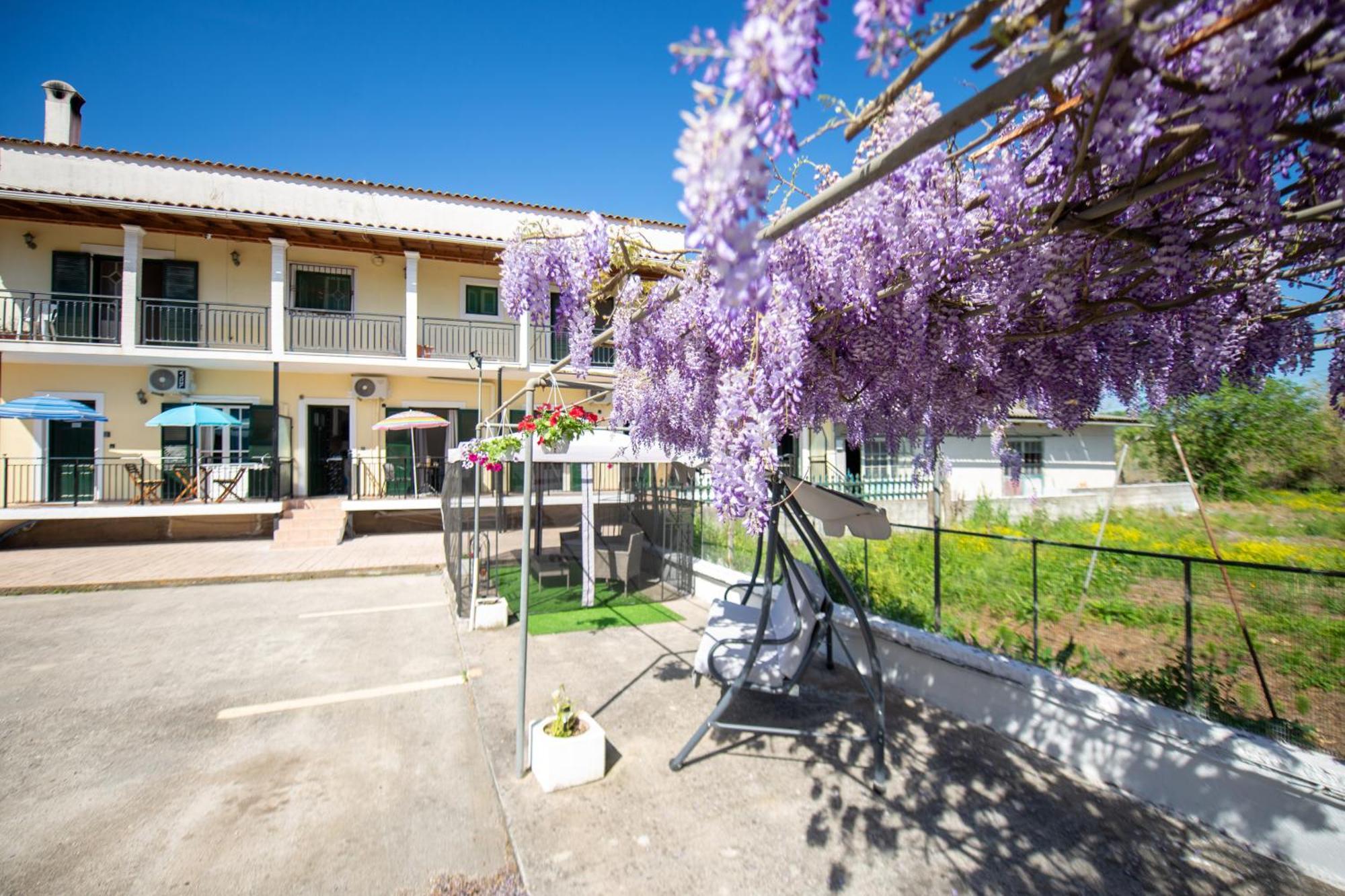 Ionian Luxury Apartments Perama  Eksteriør bilde